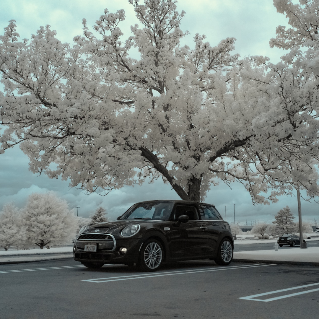 ES Avtomobili Slika trgovine