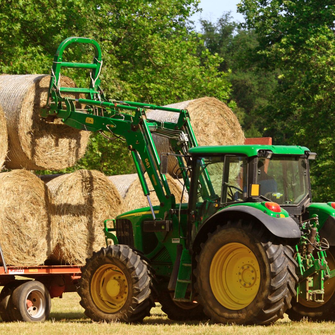 EURO GLOBTRADE Slika trgovine