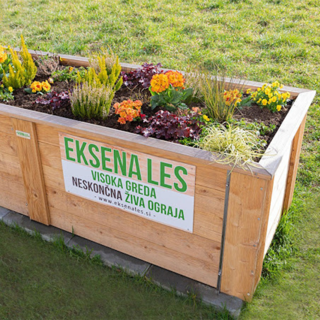 Eksenales Slika trgovine