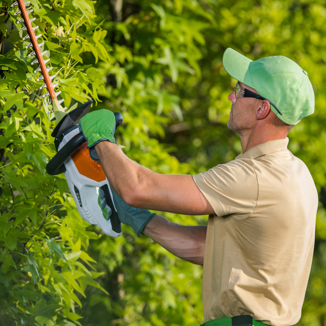 Elektroservis Povše Slika trgovine