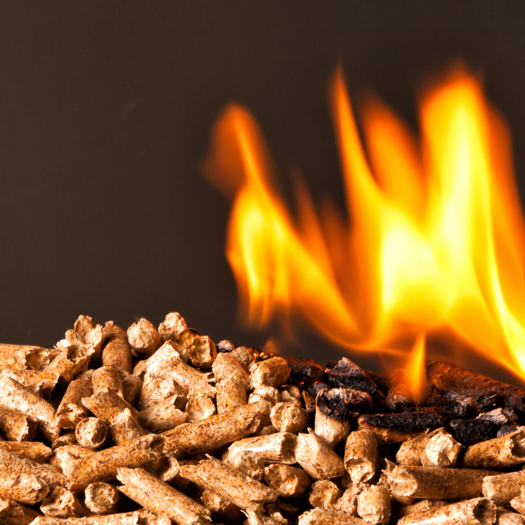 Lesni peleti Slika trgovine