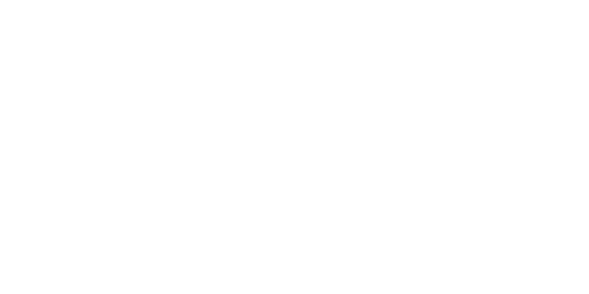 FREESTYLE Logo partnerja