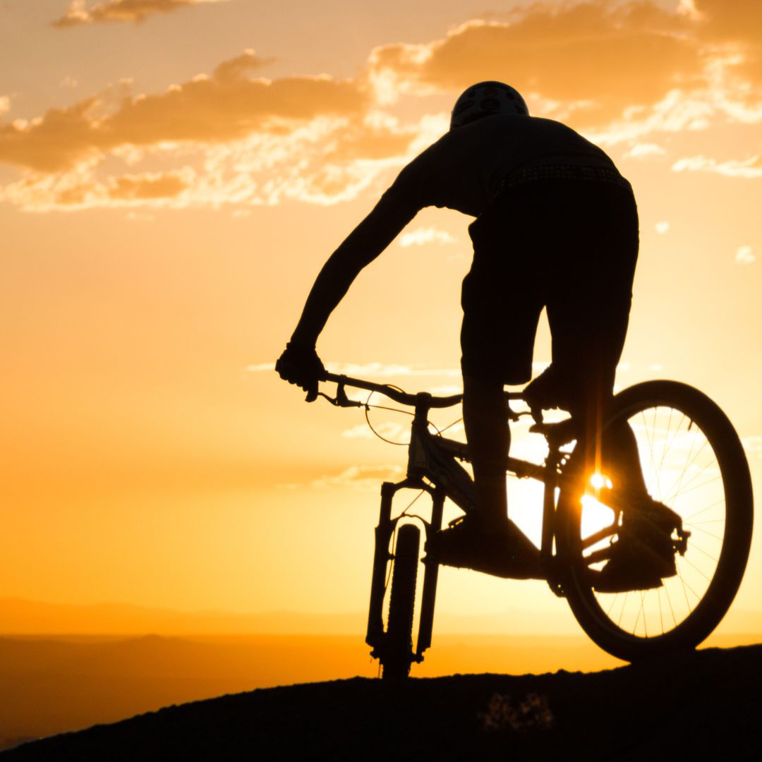 FREESTYLE Slika trgovine