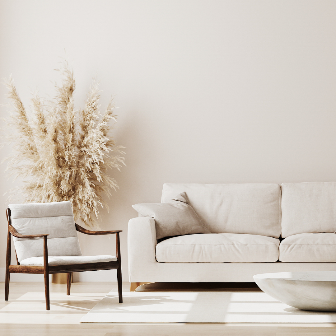 Furnitura salon pohištva Slika trgovine