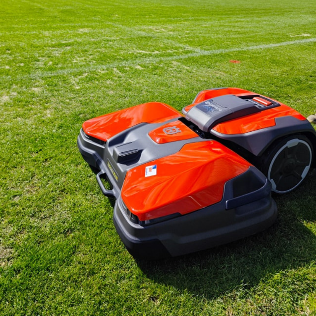 Geder Slika trgovine