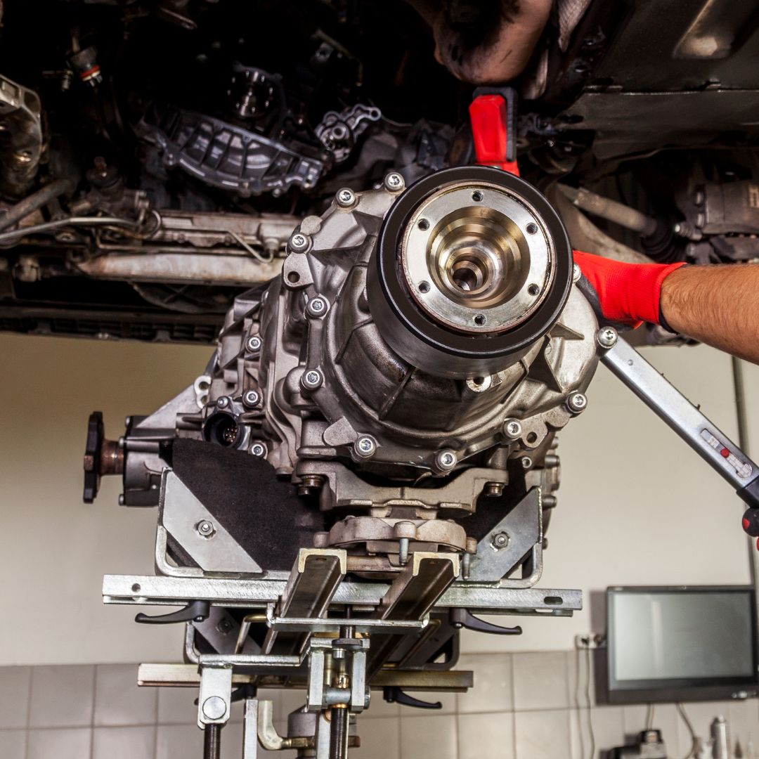 GORNIK GROUP Slika trgovine