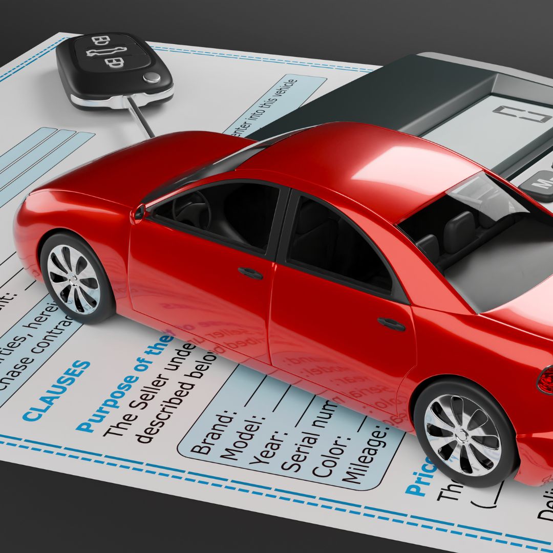 GROFIN Slika trgovine