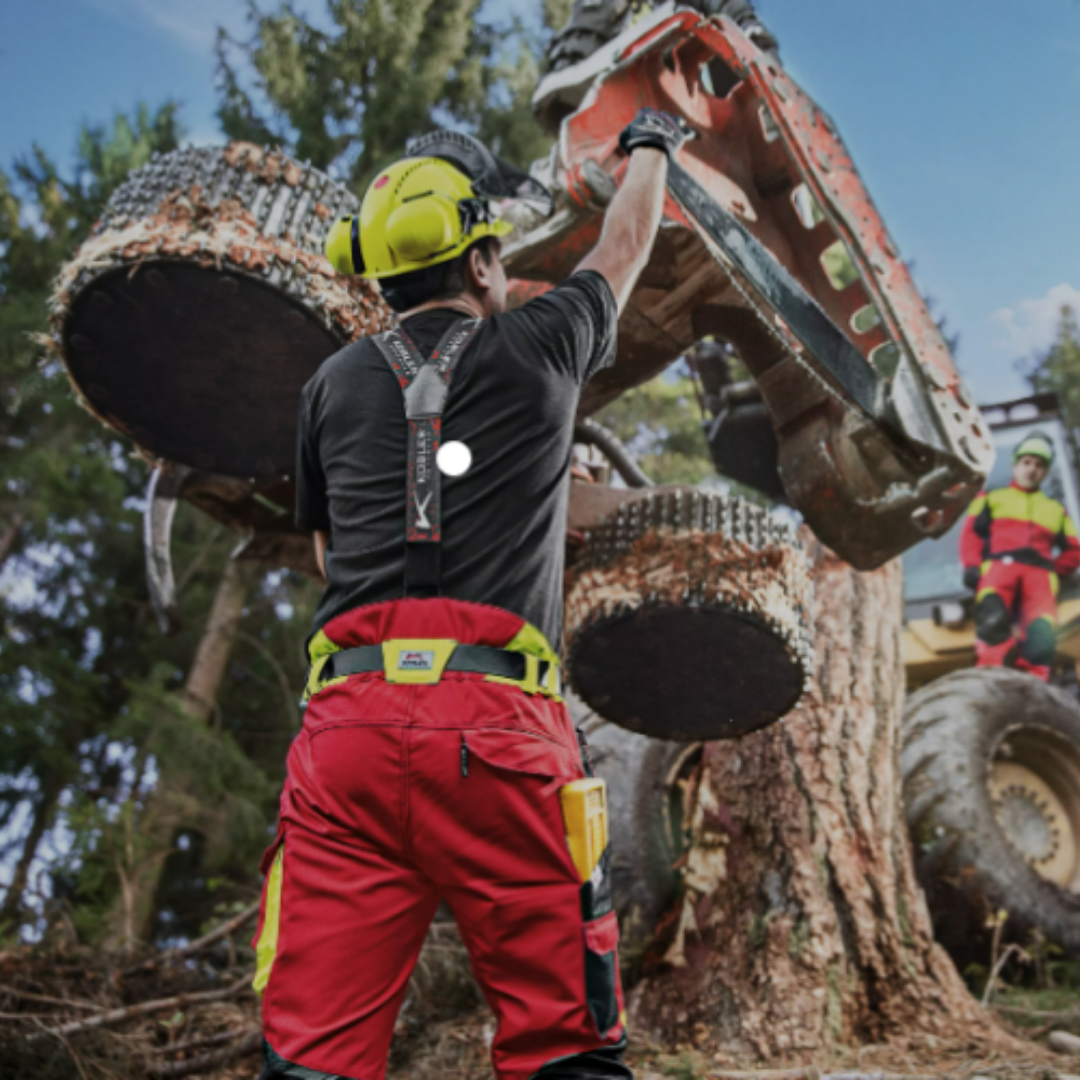 Gamat Slika trgovine