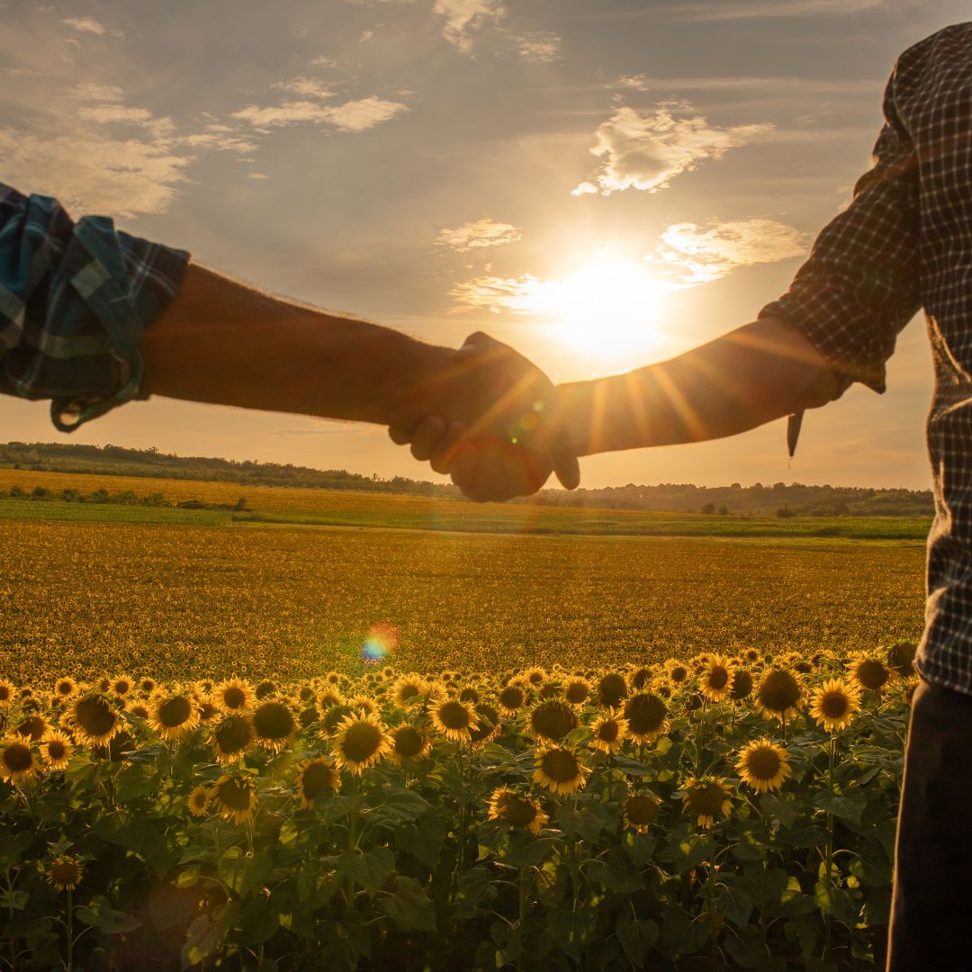 HMEZAD KMETIJSKA ZADRUGA BRASLOVČE z.o.o. Braslovče Slika trgovine