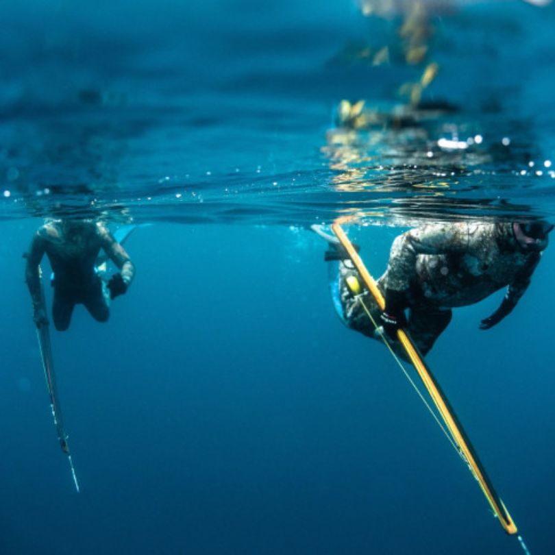 HO-BE trgovina in storitve Slika trgovine