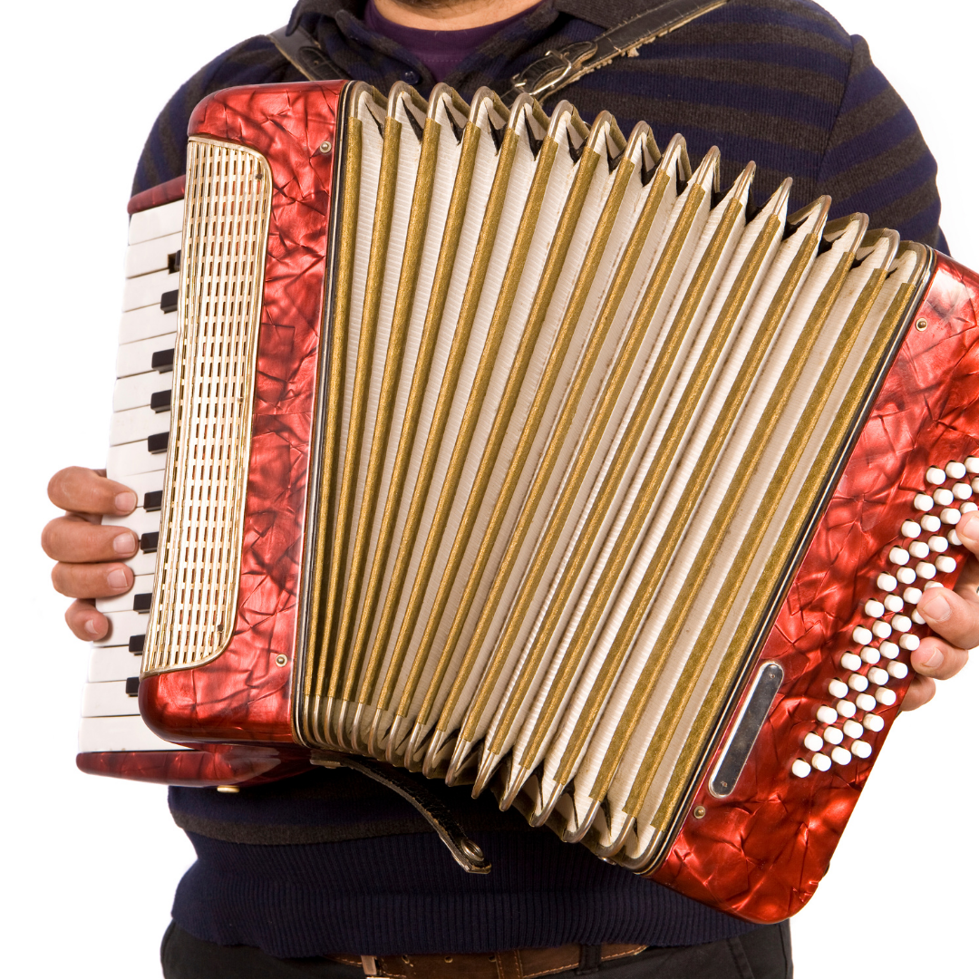 Harmonike Munda Slika trgovine