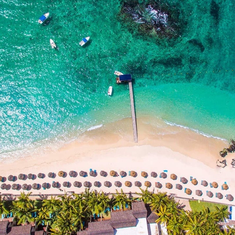 Intelekta Slika trgovine