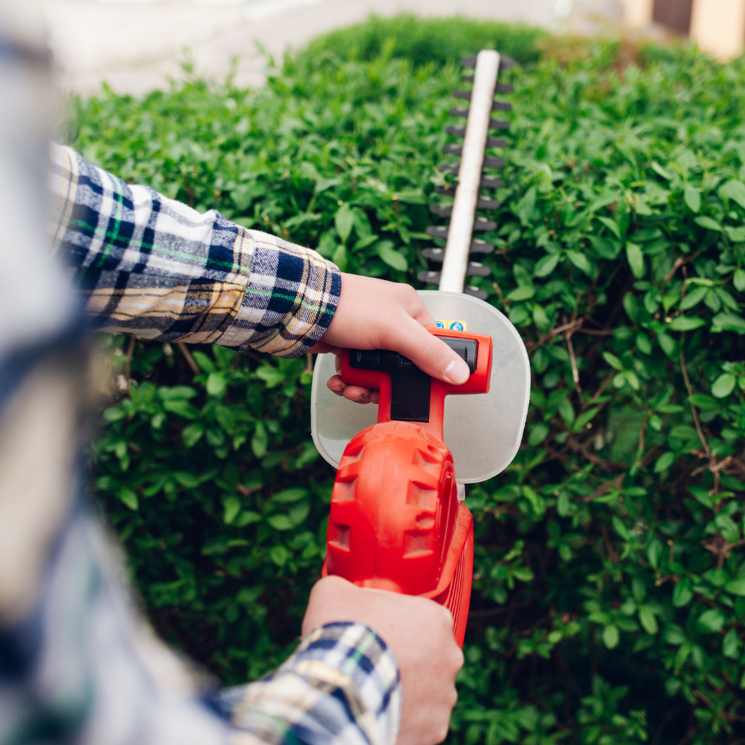 Ipo-tools Slika trgovine