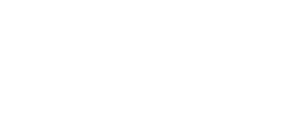 KARODI Logo partnerja