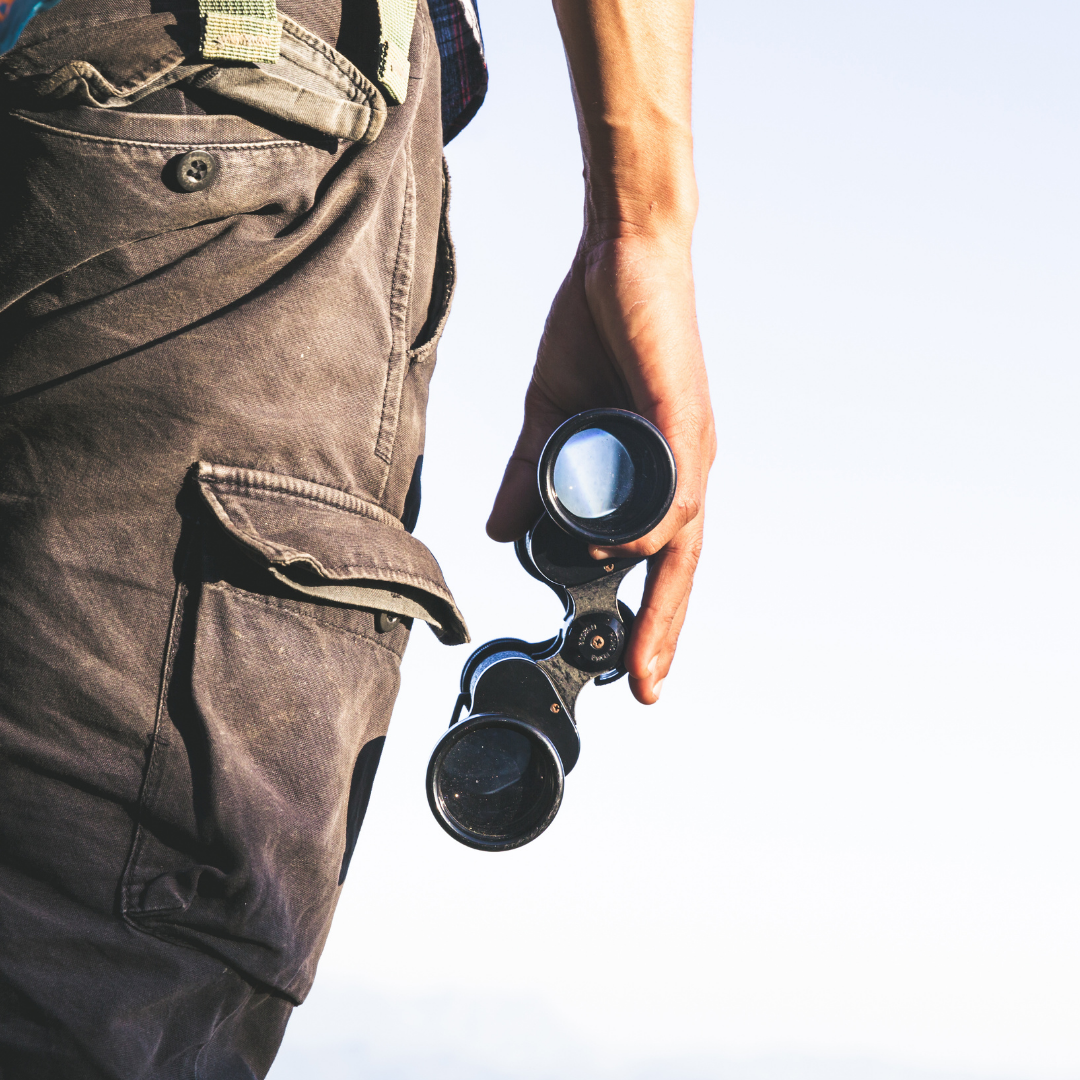 Panelne ograje Klips Slika trgovine