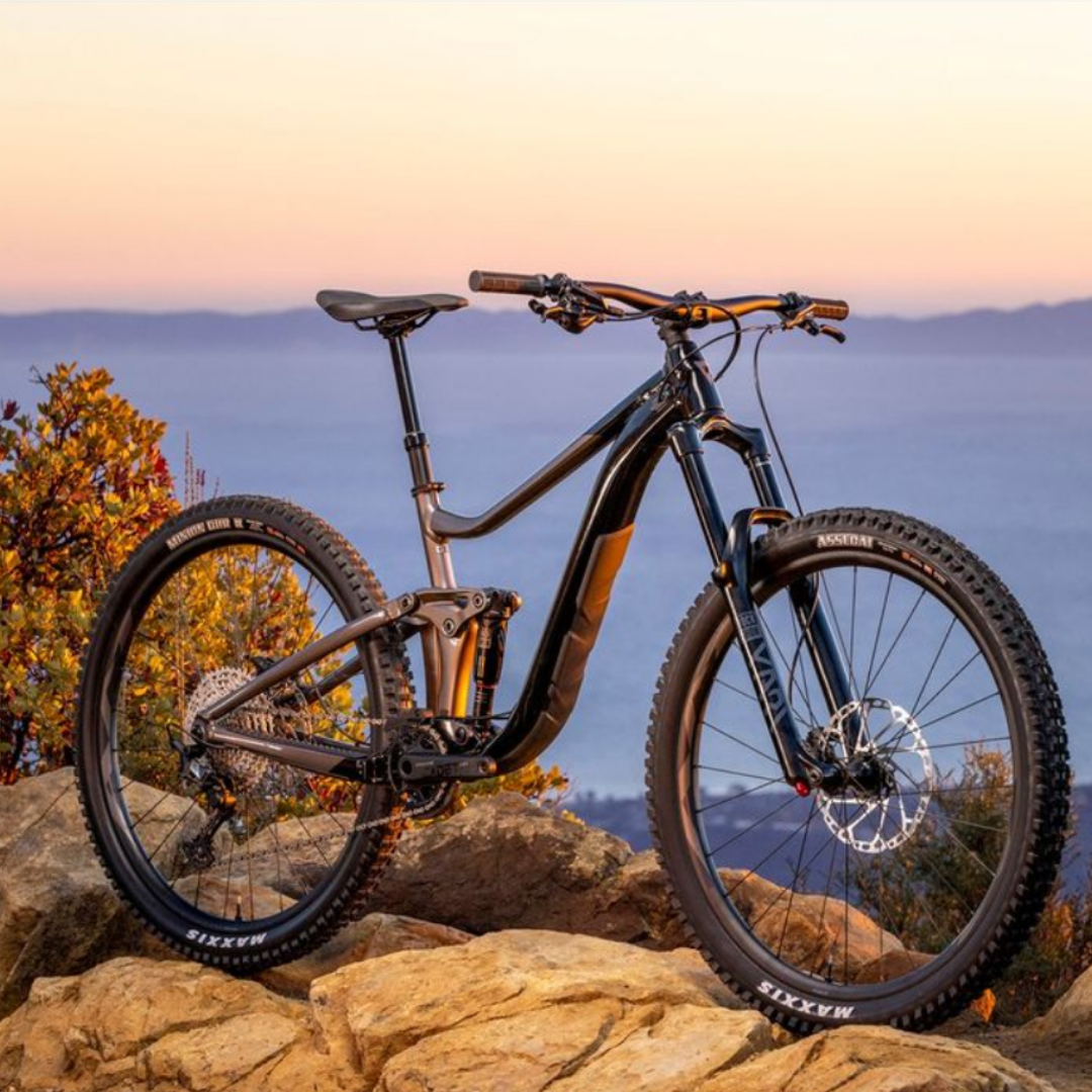 Koloset Slika trgovine