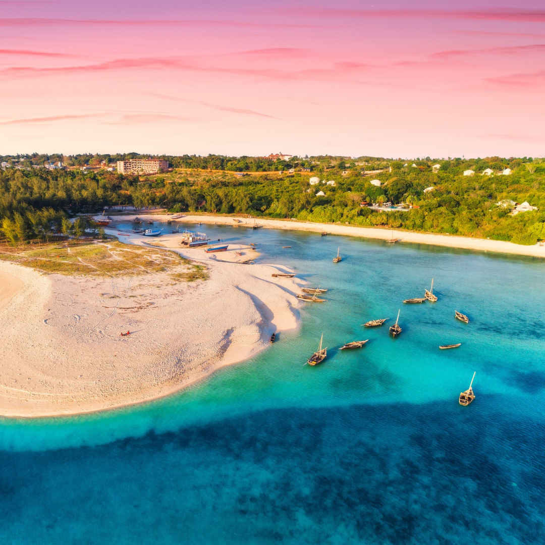 Kompas Slika trgovine