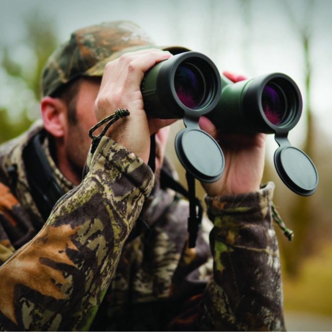 Koptex Nova Gorica Slika trgovine