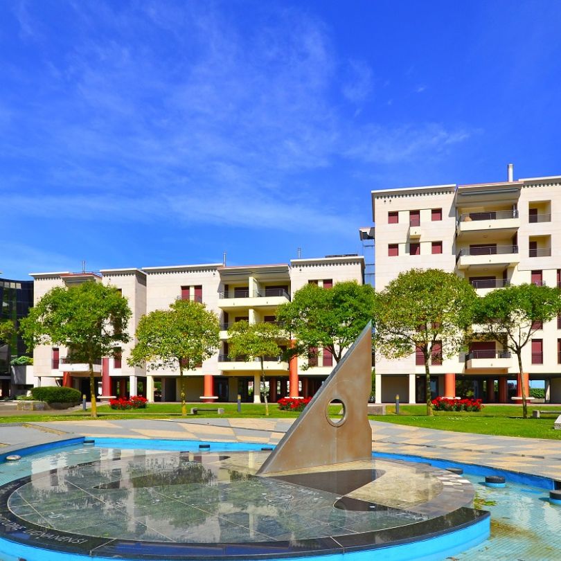 Laguna Izola Slika trgovine