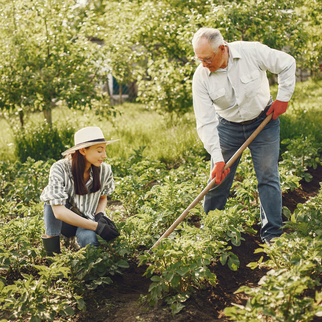 Hempatia GrowShop Slika trgovine