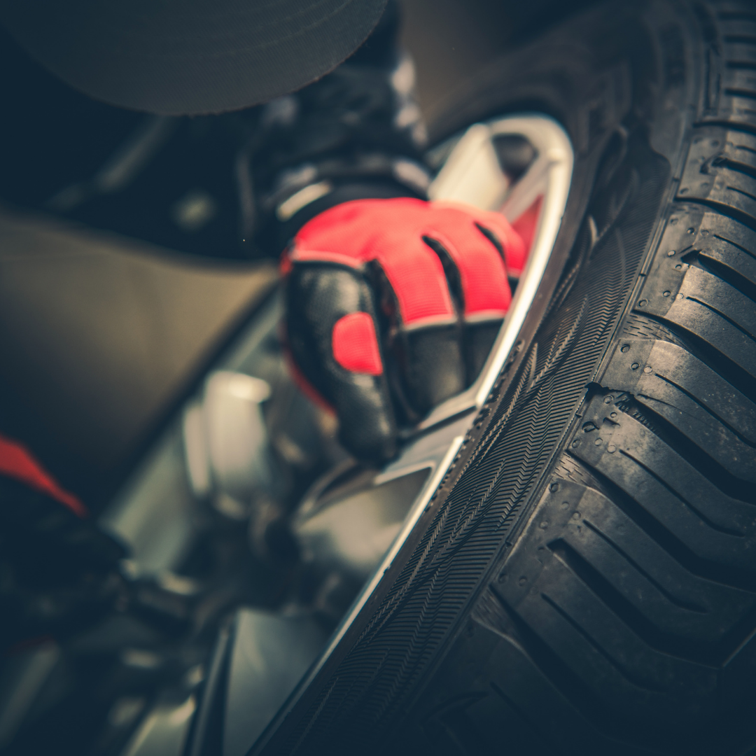 Lincos Slika trgovine