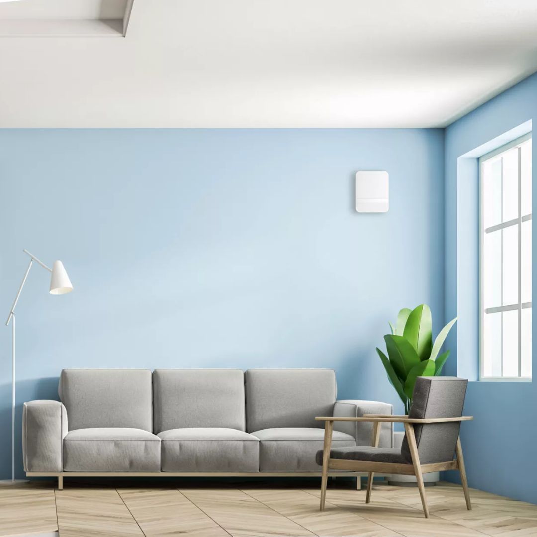 Lunos Slika trgovine