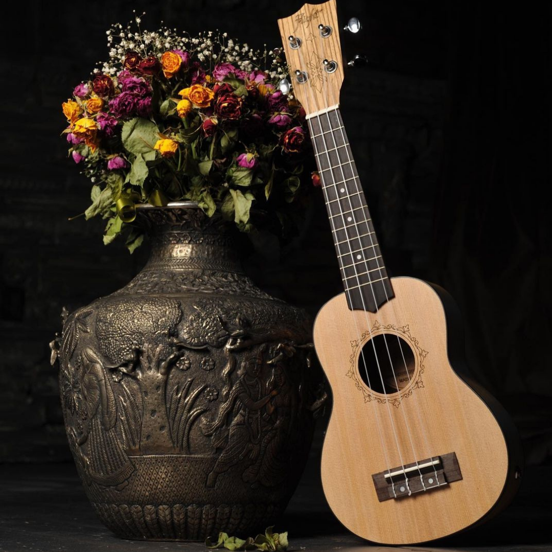 Music Max Ljubljana Slika trgovine