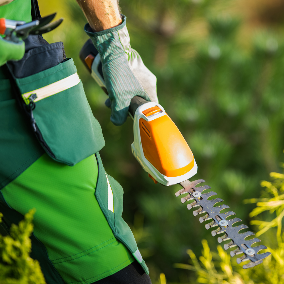 Mašinca Slika trgovine