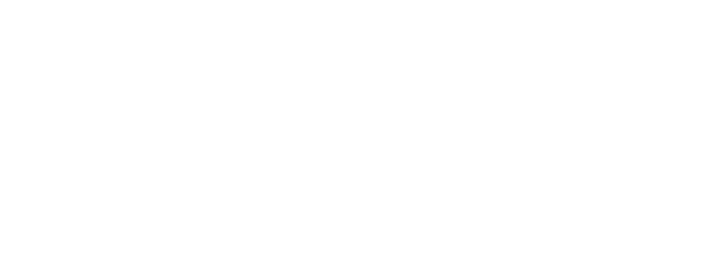 Mikrozobozdravstvo Košir d.o.o. Logo partnerja