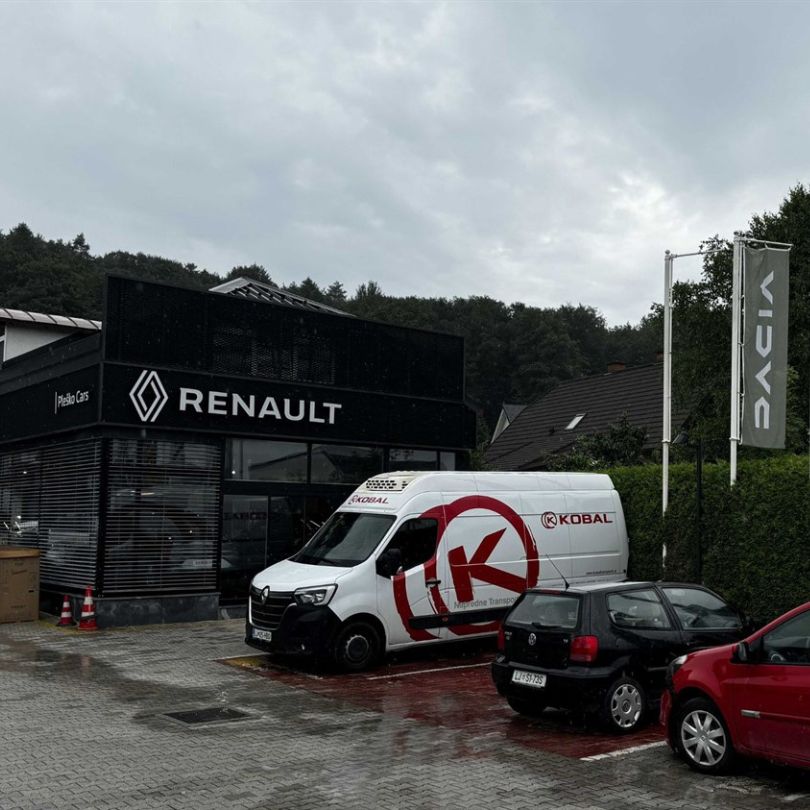 Pleško Cars Slika trgovine