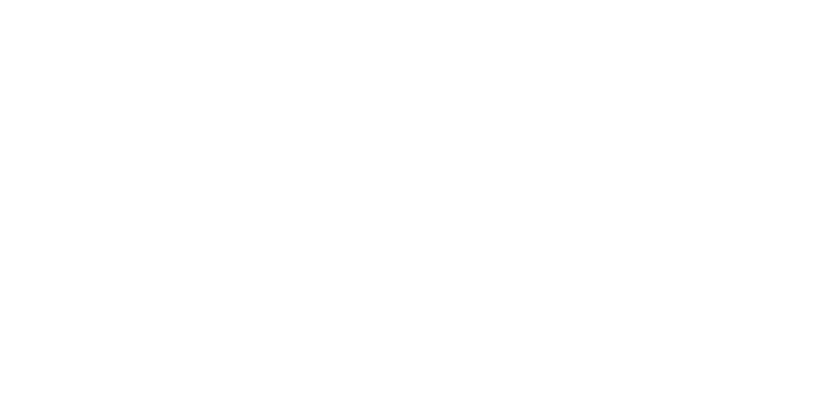 POLARIS SLOVENIJA Logo partnerja