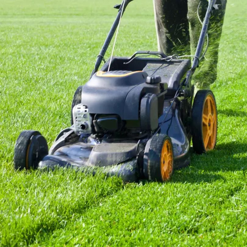 POPRAVILA KOSILNIC IN OSTALIH NAPRAV JOH, Igor Joh s.p. Slika trgovine