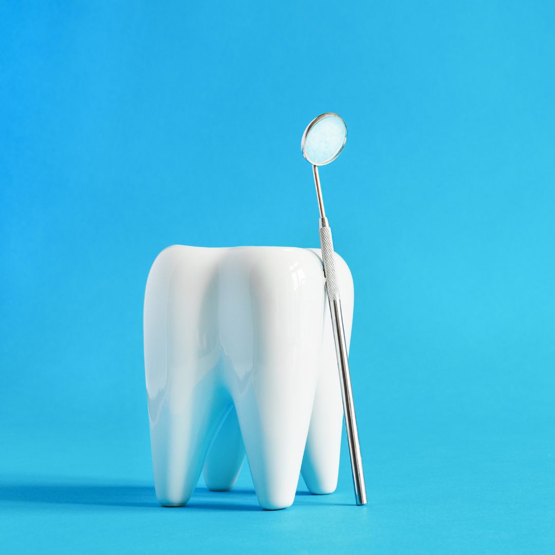 PRIMADENT Slika trgovine