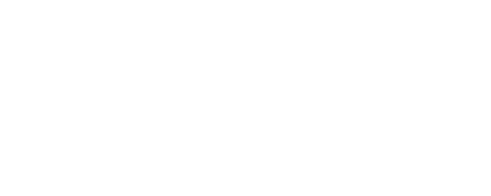 Pušnik-Novljan Logo partnerja