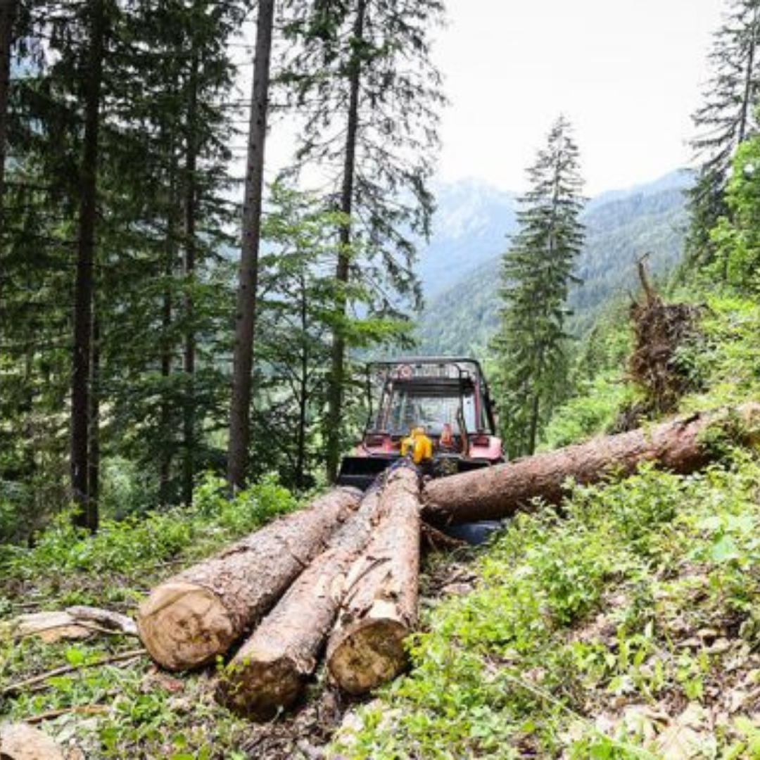Uniforest Slika trgovine