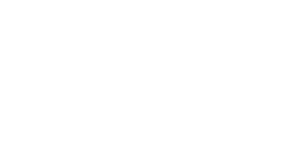 RIB NAUTICA Logo partnerja
