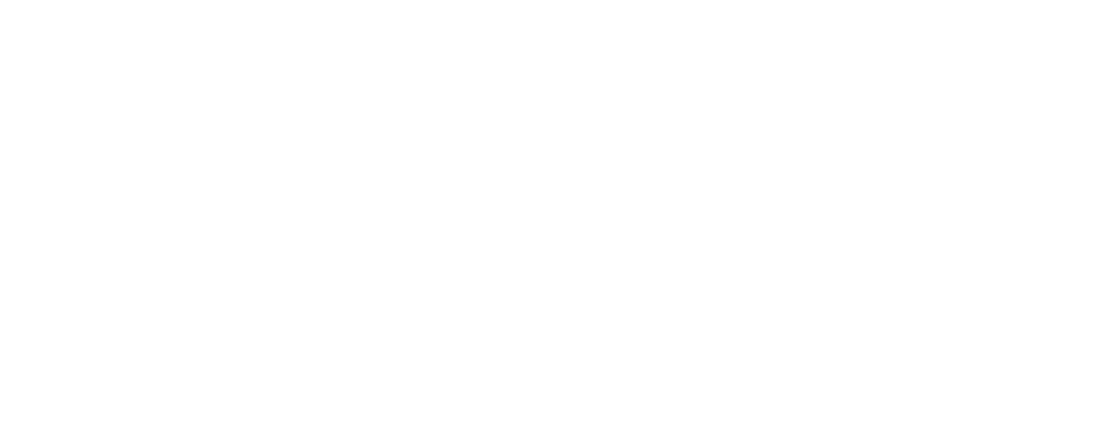 ROBOCARS Logo partnerja