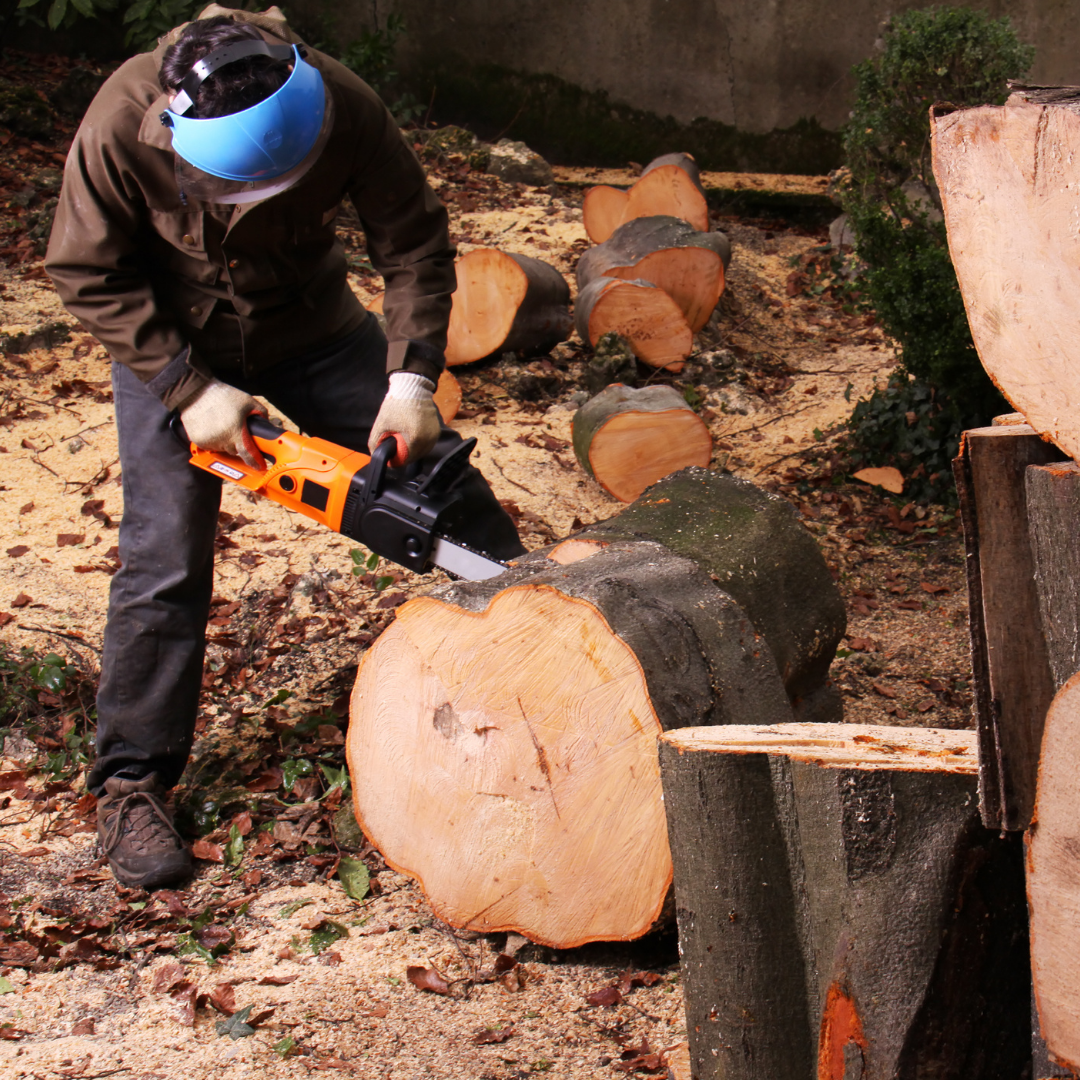 Robust Slika trgovine