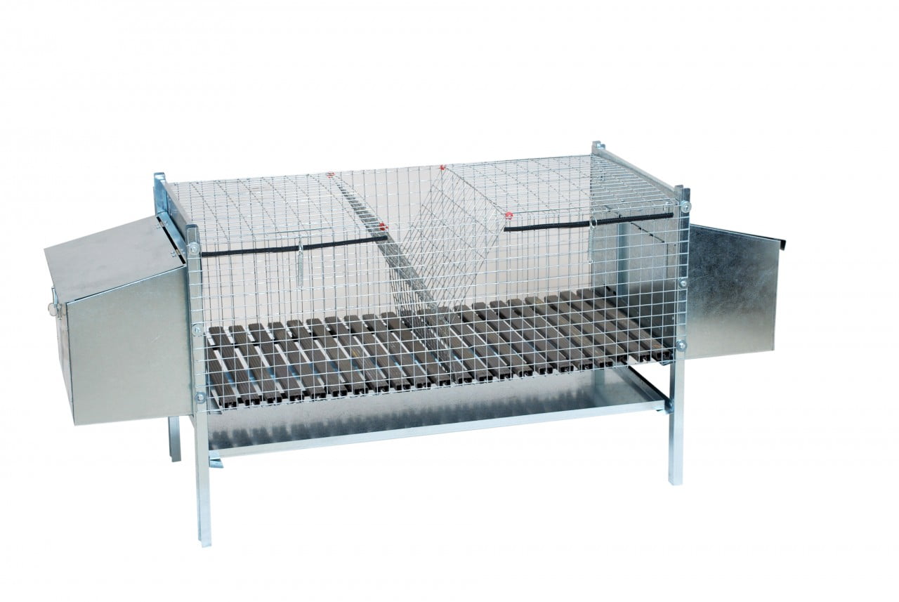 ROLAND Slika trgovine