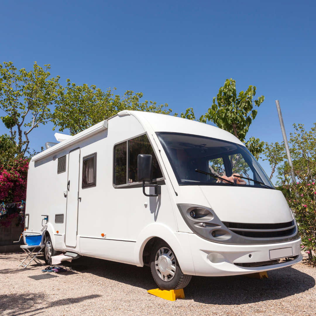 Rovando Slika trgovine