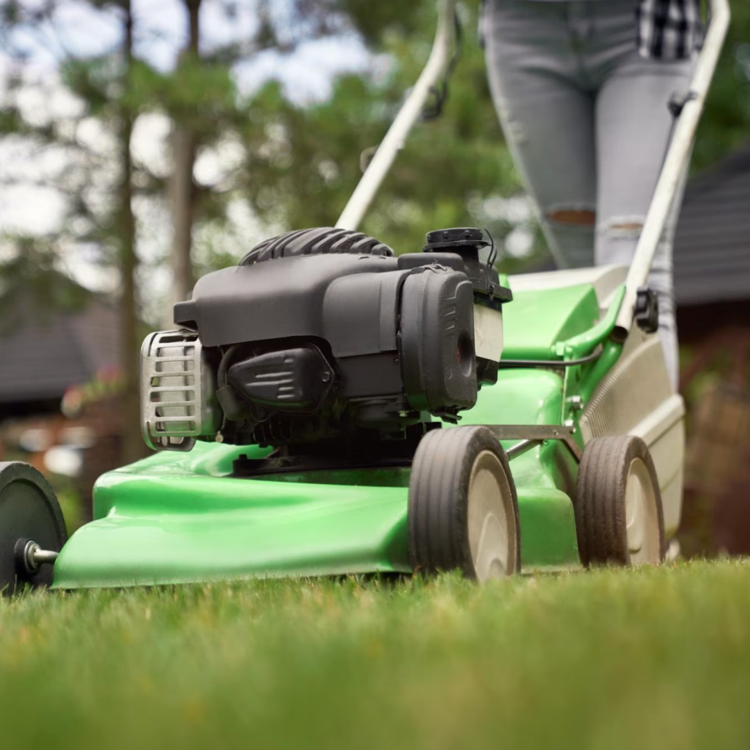 Vrtni center Kalia Slika trgovine