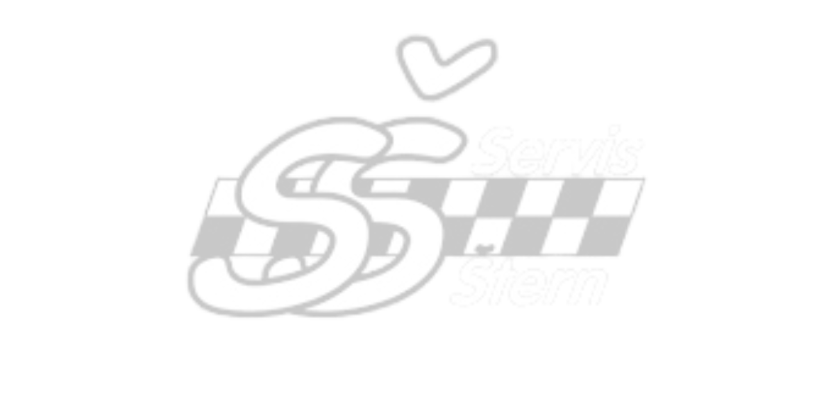 SERVIS ŠTERN Logo partnerja