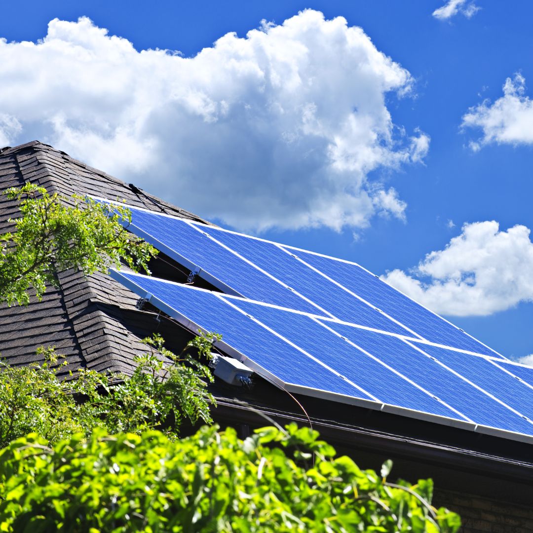 ŠILC Slika trgovine