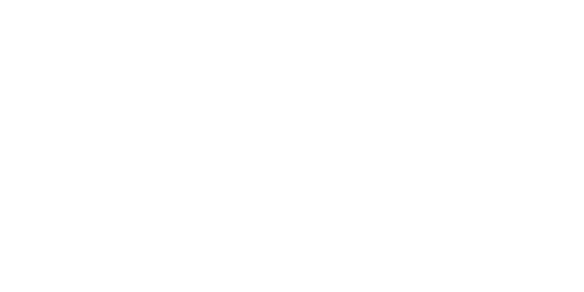 SKIN Logo partnerja