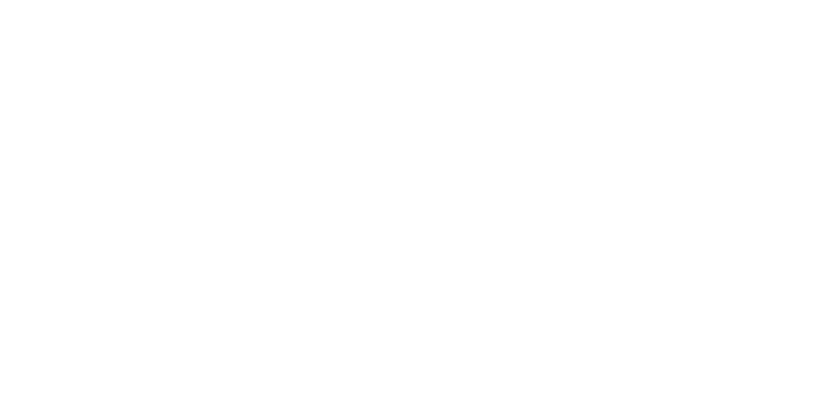 SPINALIS Logo partnerja