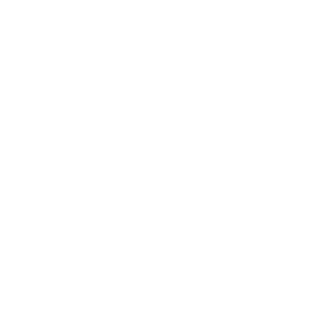 ŠTAJERSKI AVTO DOM Logo partnerja