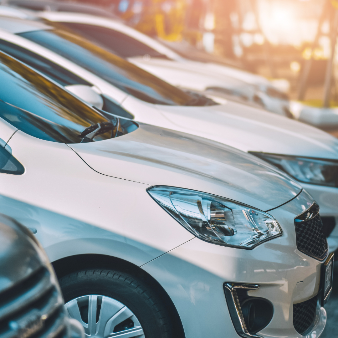 ŠTAJERSKI AVTO DOM Slika trgovine