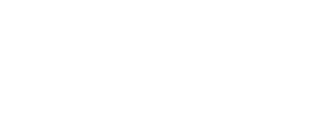 Stanles d.o.o. Logo partnerja