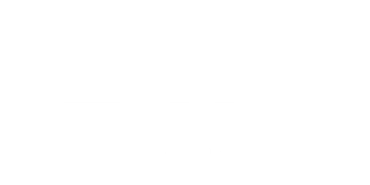 STM Logo partnerja