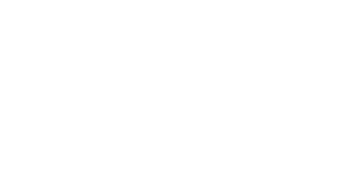 SUN TRADE Logo partnerja